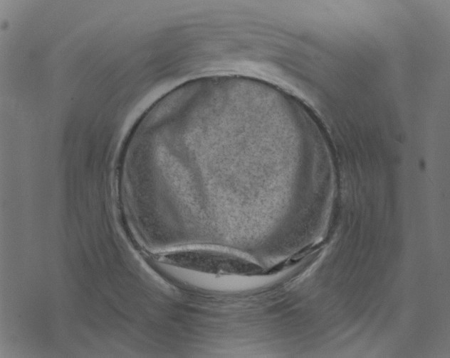 X0000073731517200608171216