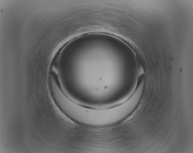 X0000073731518200608171216