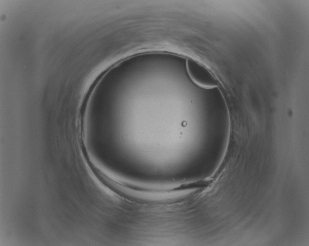 X0000073731519200608171216