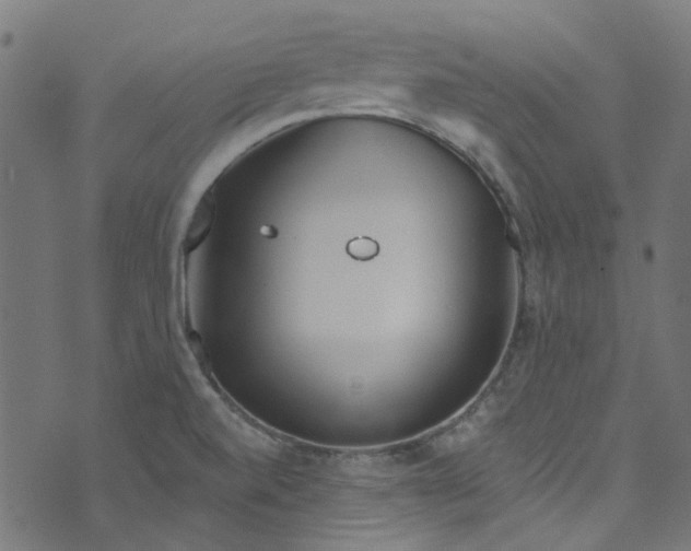 X0000073731520200608171216