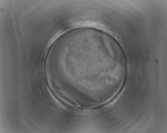 X0000073731521200608171216