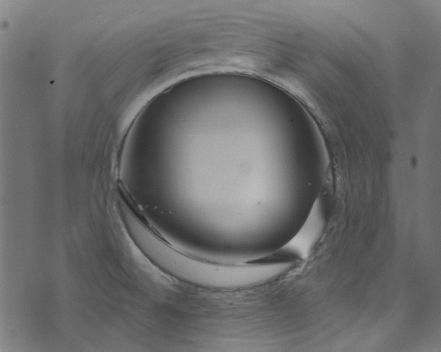 X0000073731524200608171216