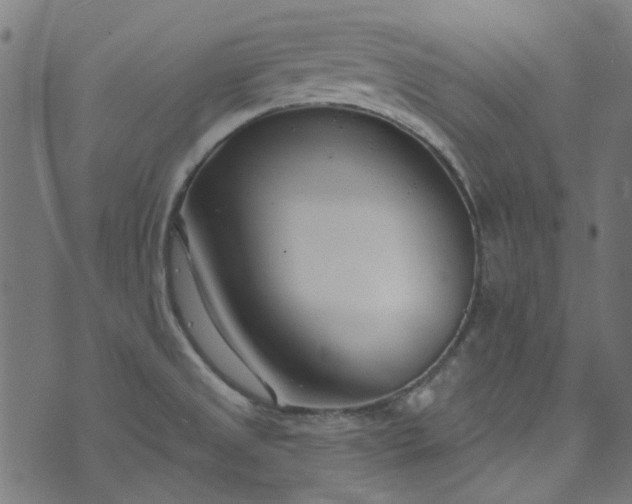 X0000073731525200608171216