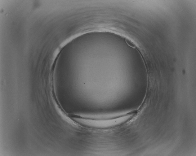 X0000073731526200608171216