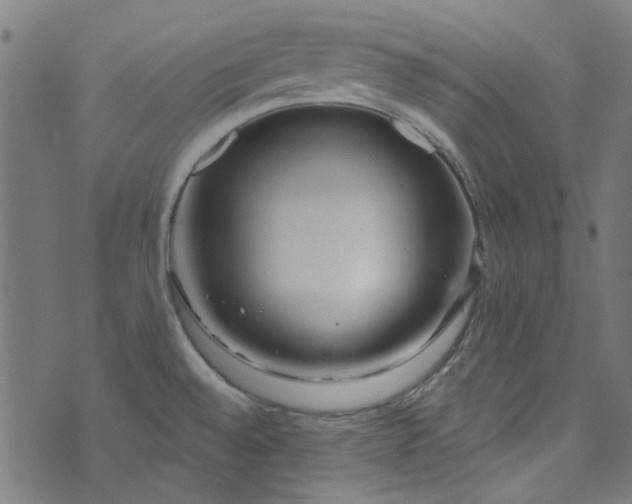 X0000073731528200608171216