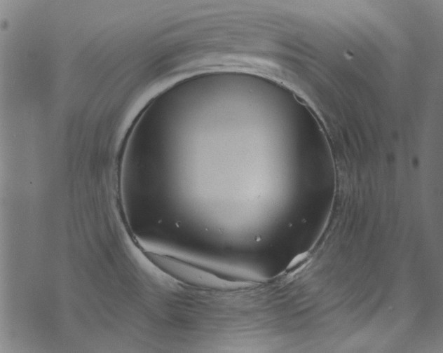 X0000073731531200608171216