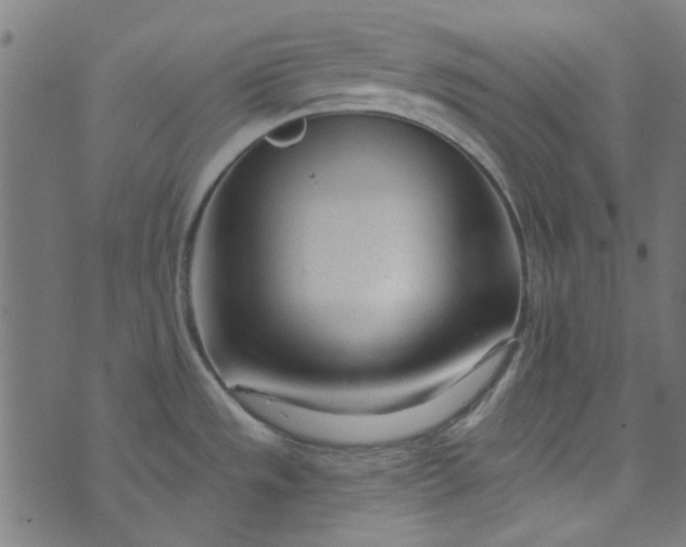 X0000073731533200608171216