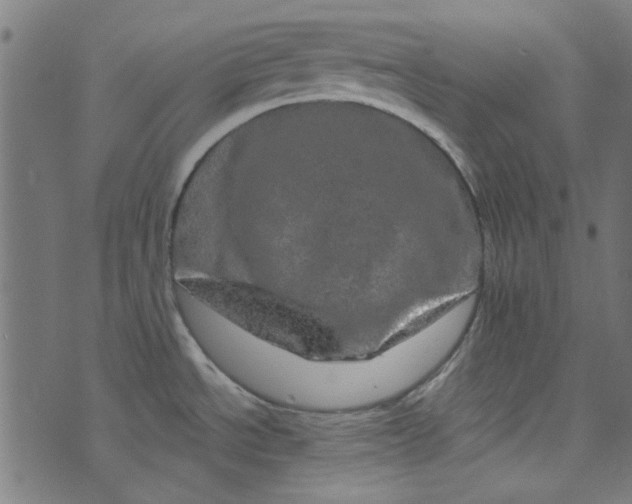 X0000073731534200608171216