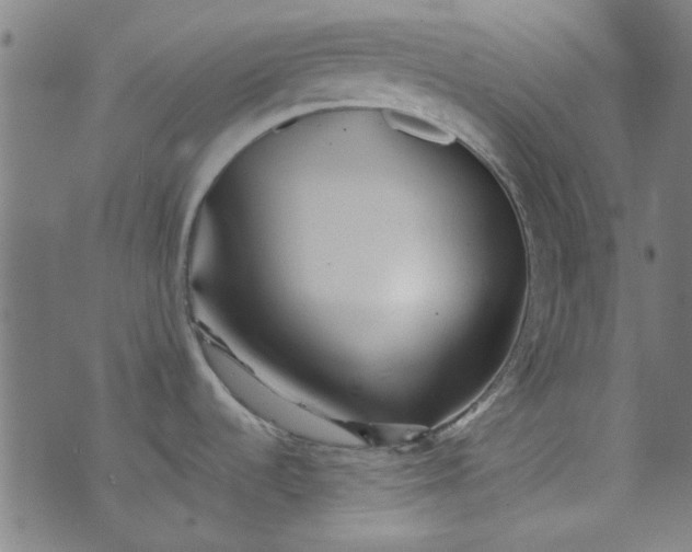 X0000073731536200608171216