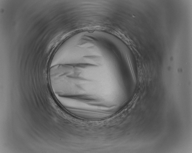 X0000073730002200608241308