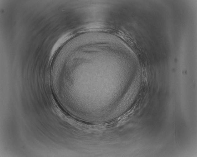 X0000073730004200608241308