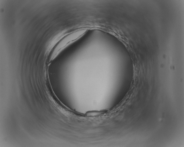 X0000073730005200608241308