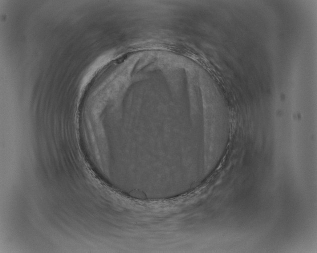 X0000073730006200608241308