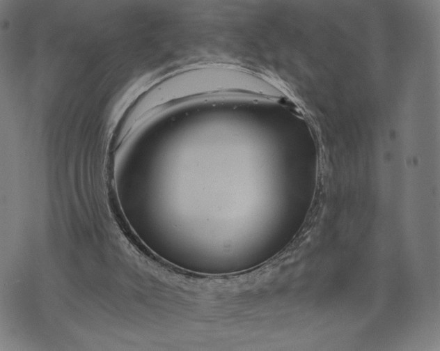 X0000073730007200608241308