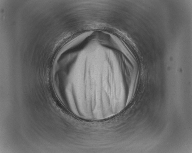 X0000073730010200608241308