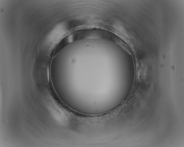 X0000073730013200608241308