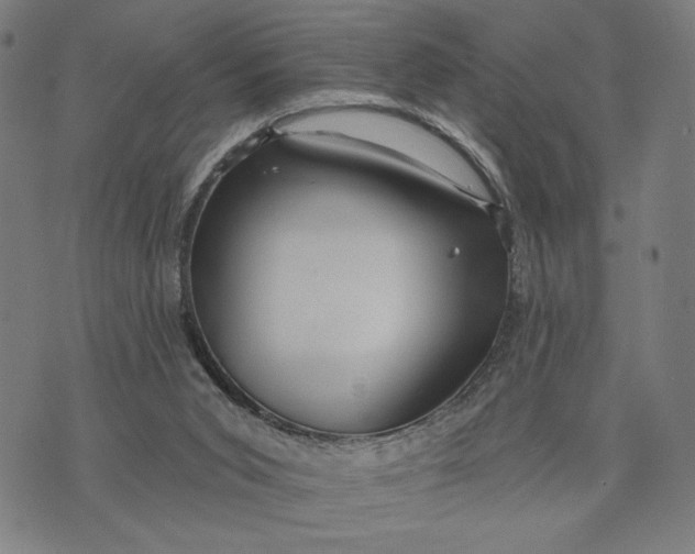 X0000073730015200608241308