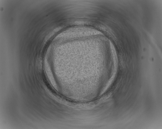 X0000073730016200608241308