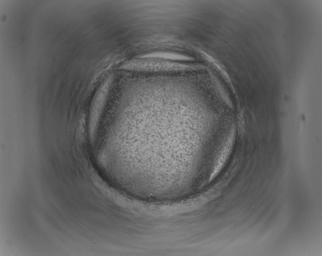 X0000073730018200608241308