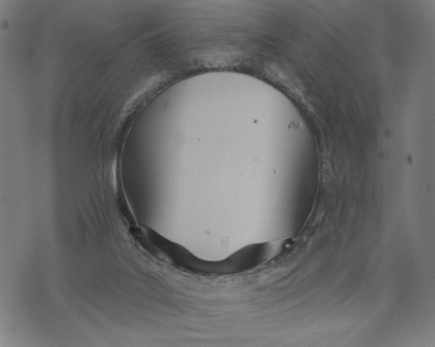 X0000073730019200608241308