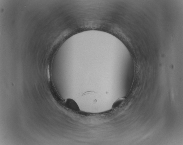 X0000073730020200608241308