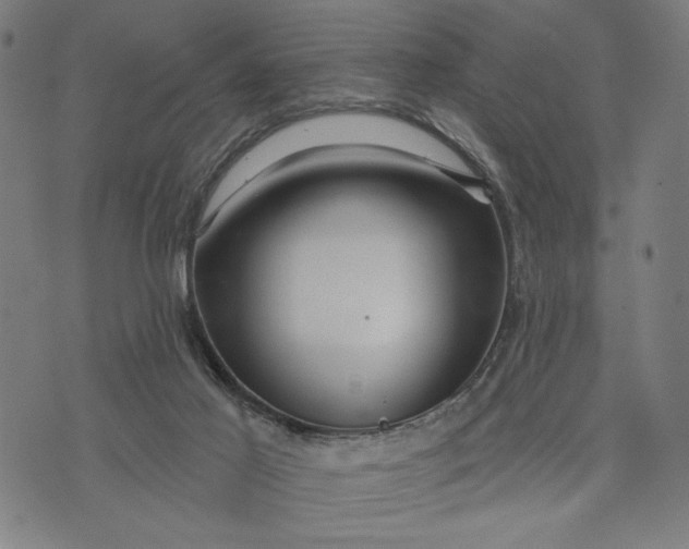 X0000073730021200608241308