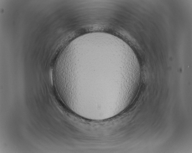 X0000073730022200608241308