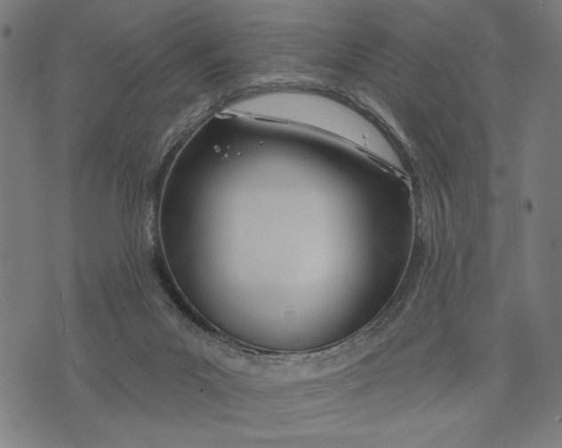 X0000073730023200608241308