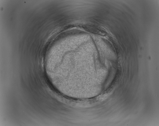 X0000073730024200608241308