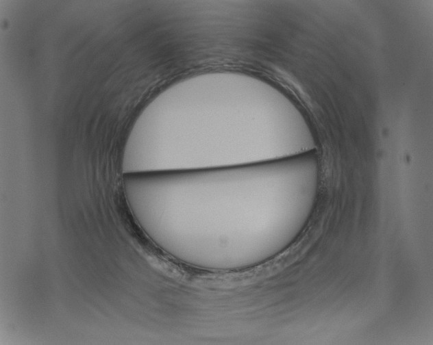 X0000073730025200608241308