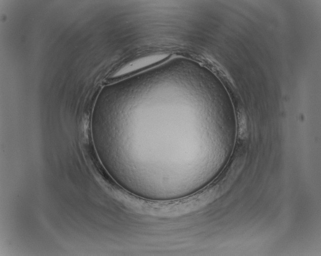 X0000073730026200608241308