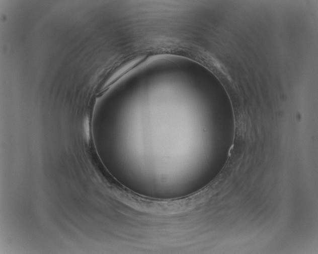 X0000073730027200608241308