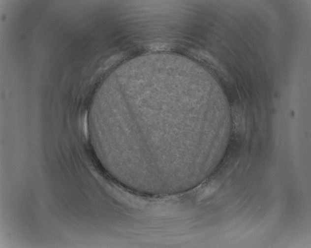 X0000073730028200608241308