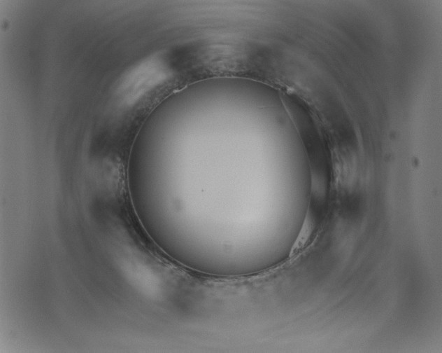 X0000073730029200608241308