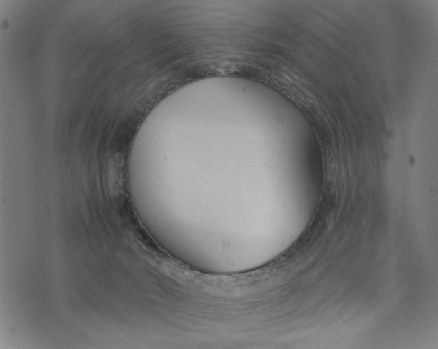 X0000073730030200608241308