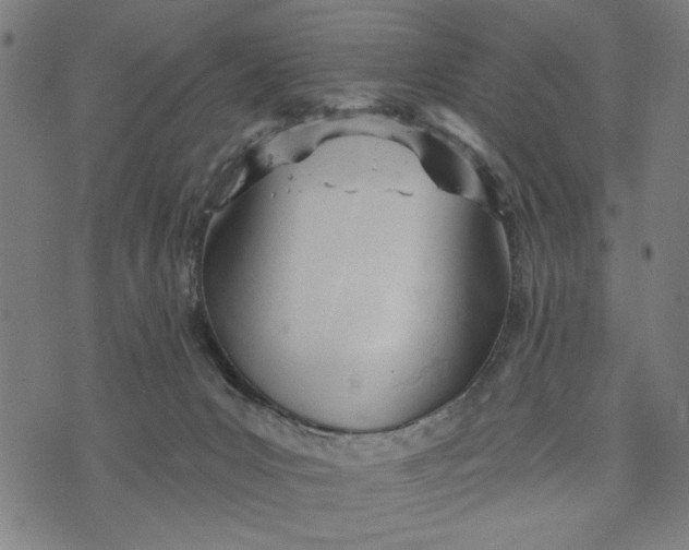 X0000073730031200608241308