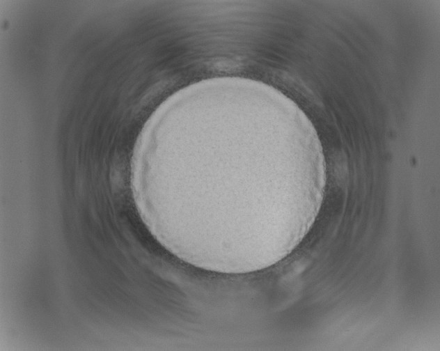 X0000073730032200608241308