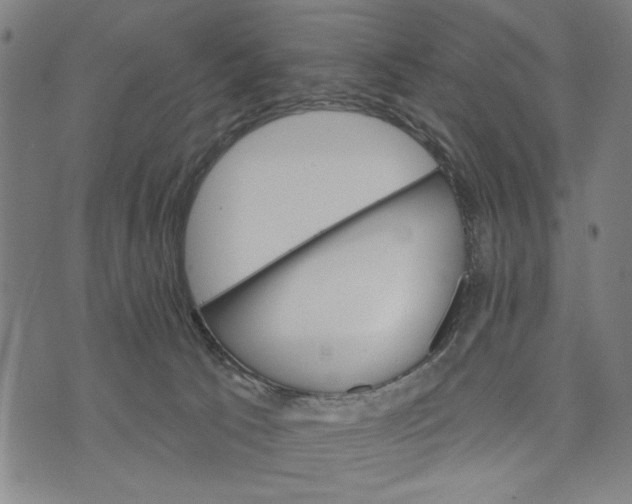 X0000073730033200608241308