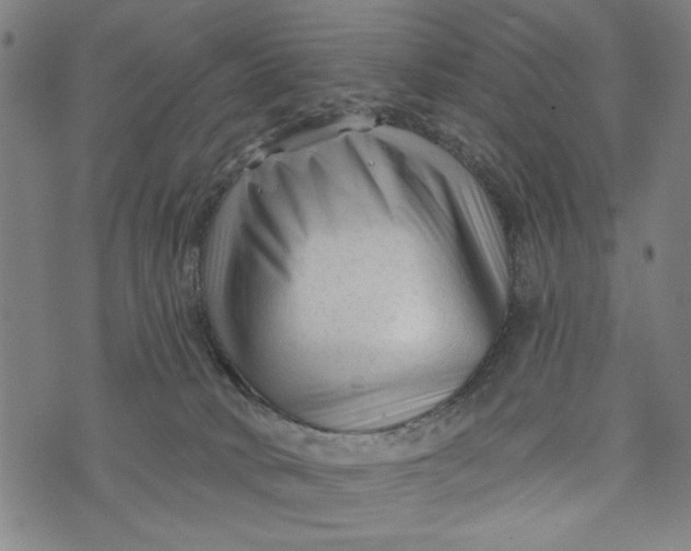 X0000073730034200608241308