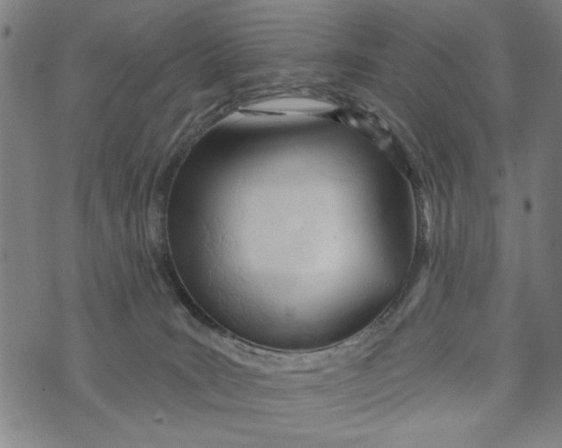 X0000073730035200608241308