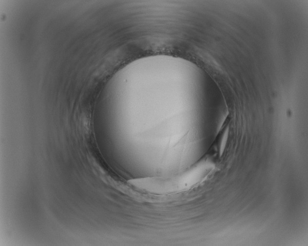 X0000073730039200608241308