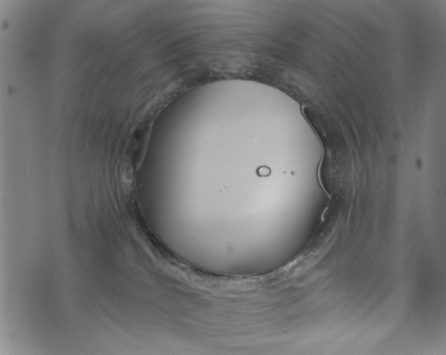 X0000073730040200608241308