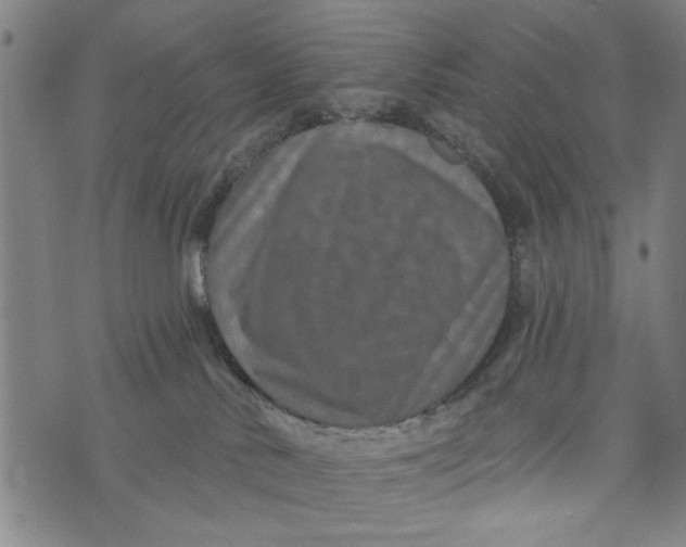 X0000073730042200608241308