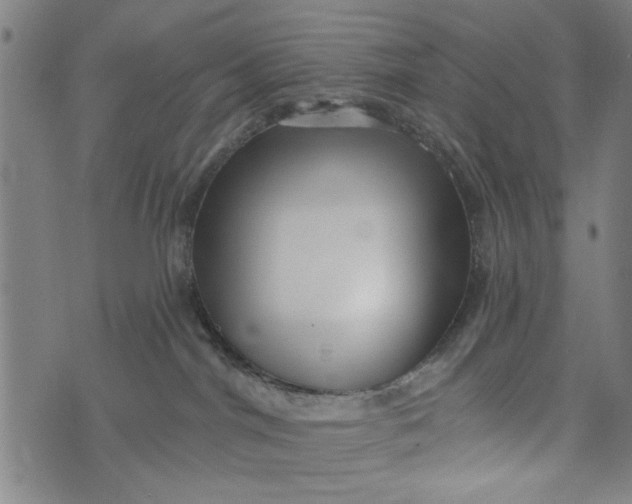 X0000073730044200608241308