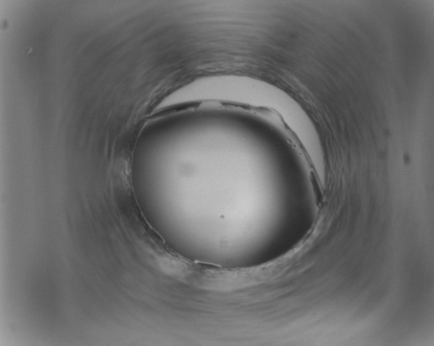 X0000073730045200608241308