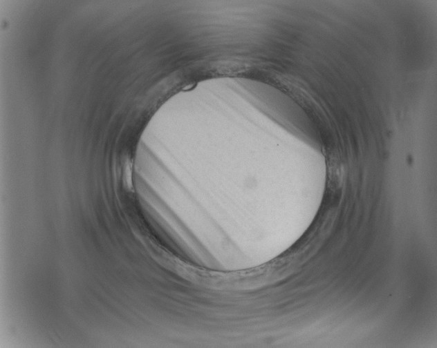 X0000073730046200608241308