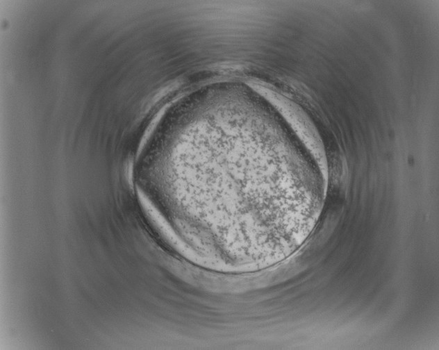 X0000073730047200608241308