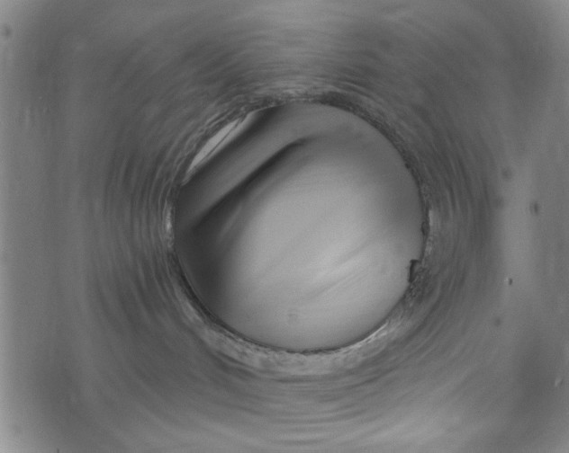 X0000073730048200608241308