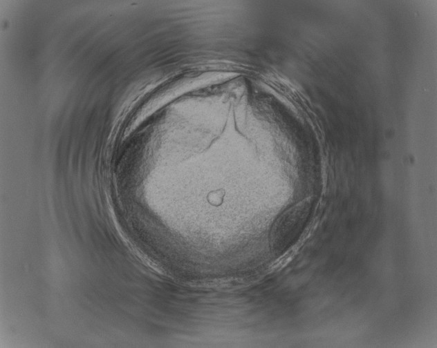 X0000073730049200608241307