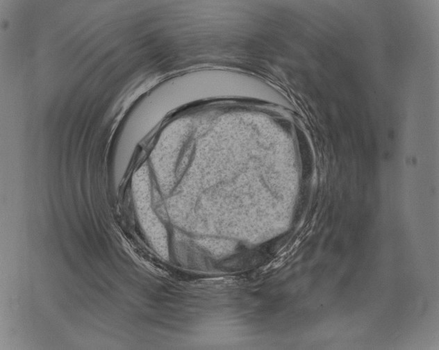 X0000073730050200608241307